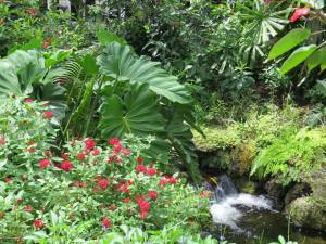 Just a nice overview shot