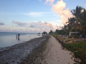 1374054_10151592025262723_1790567497_n