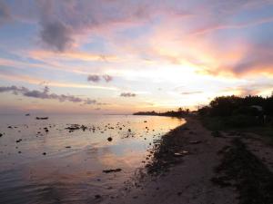 1380810_10151590980417723_603379485_n