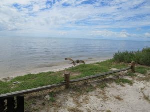 1381725_10151590976117723_1242879334_n