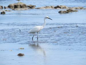 1385299_10151590978537723_1809439615_n