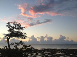 1390601_10151592024767723_1966910898_n