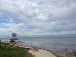 1391860_10151592023242723_1871213680_n