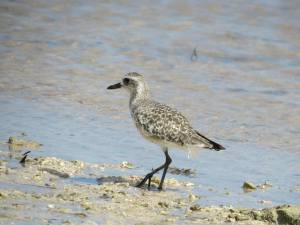 1392718_10151590977567723_1711127010_n