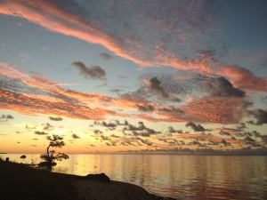 1393697_10151592023247723_948379866_n