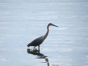 563648_10151590976217723_86920548_n