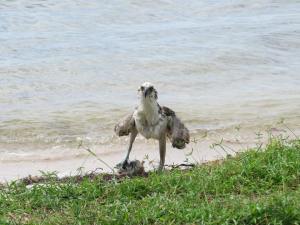 Well if i'm not going anywhere, neither is this fish!