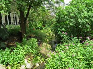 Another overview photo